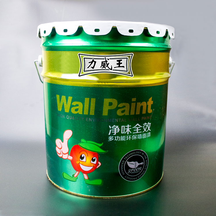 净味全效多功能环保墙面漆